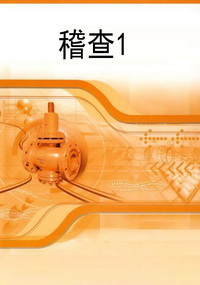 稽查1