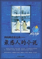 闪亮的青春之火——最