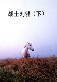 战士刘健（下）