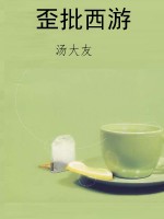 歪批西游