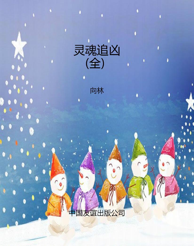 灵魂追凶（全）