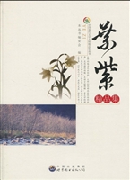 叶紫精品集
