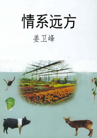情系远方