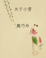 关于小雪