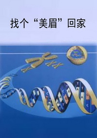 找个“美眉”回家