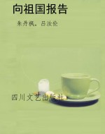 向祖国报告