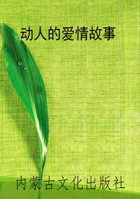 动人的爱情故事