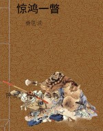 惊鸿一瞥
