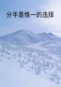 分手是惟一的选择