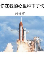 你在我的心里种下了伤