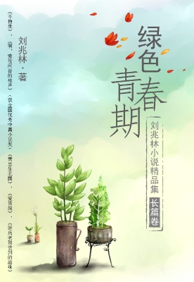 刘兆林小说精品集 长