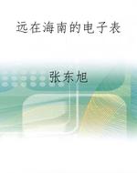 远在海南的电子表