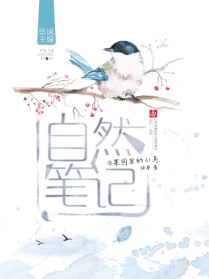 果园里的小鸟