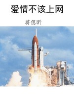 爱情不该上网