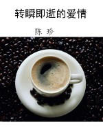 转瞬即逝的爱情