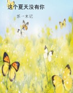 这个夏天没有你