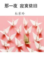 那一夜 寂寞依旧