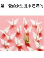 第二爱的女生是来还泪