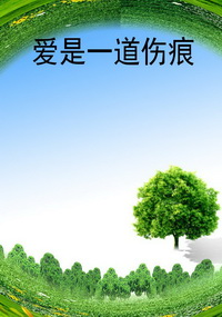 爱是一道伤痕