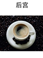 后宫