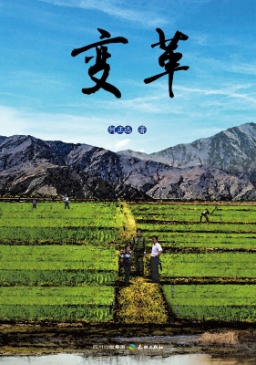 变革