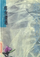 昨夜遭遇 范小青文集3