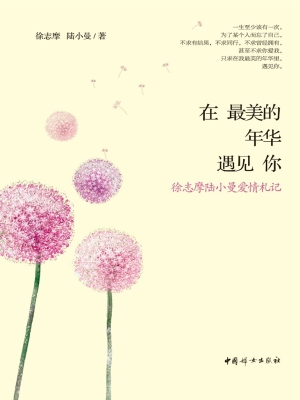 在最美的年华遇见你—