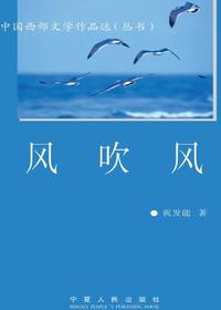 风吹风