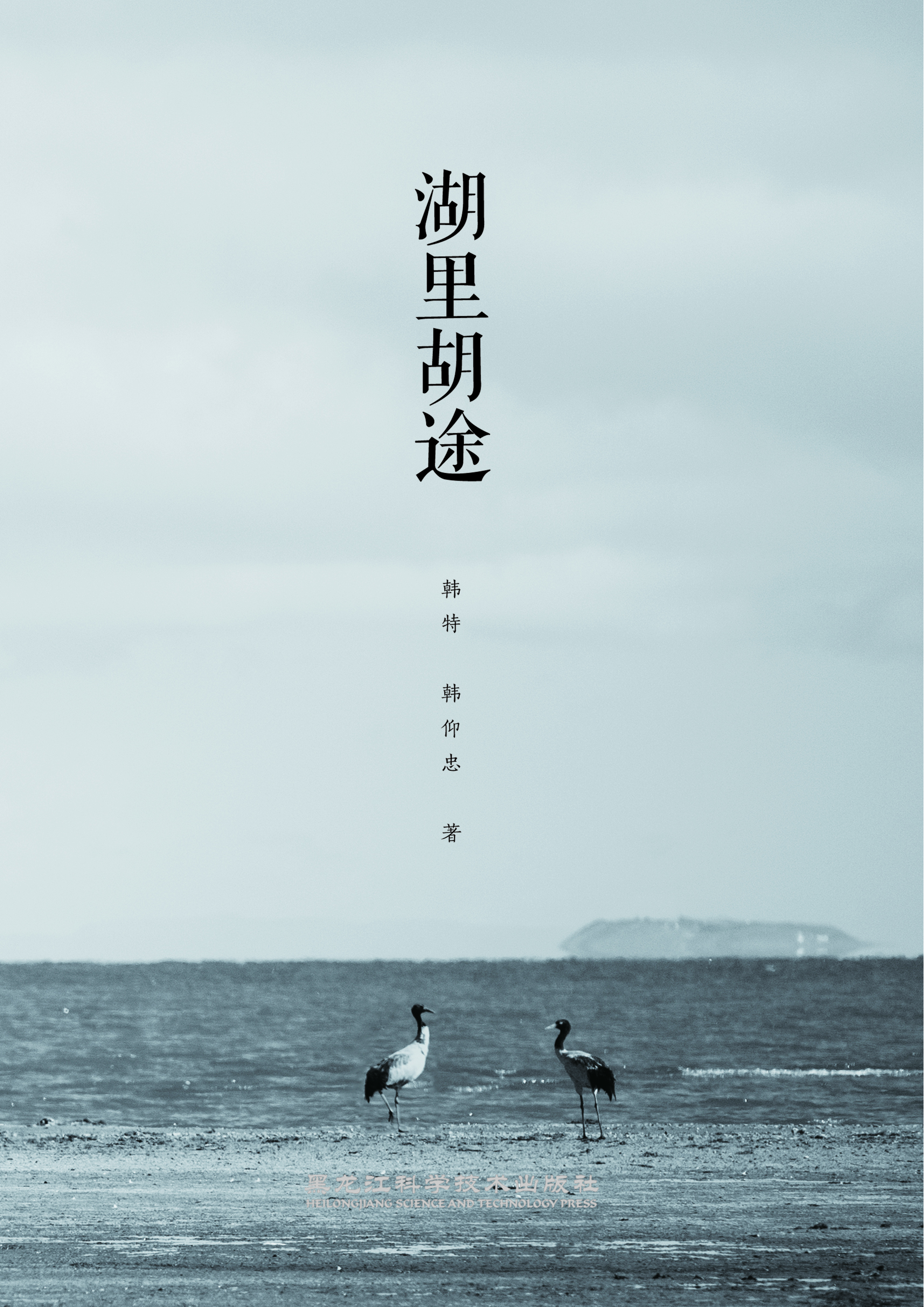 湖里胡途