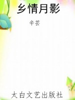 乡情月影