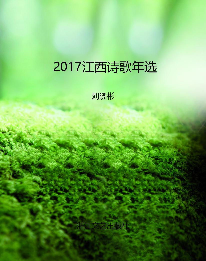 2017江西诗歌年选
