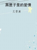 黑匣子里的爱情