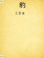 豹