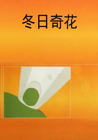 冬日奇花