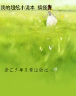 我的超炫小说本 搞怪