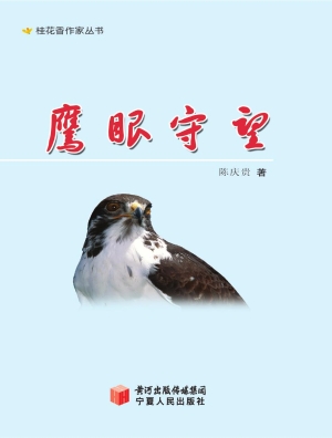 鹰眼守望