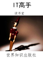 IT高手