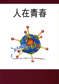 人在青春