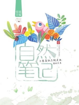 春夏秋冬都是画