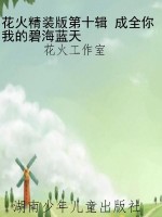 花火精装版第十辑 成