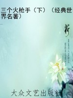 三个火枪手（下）（经典世界