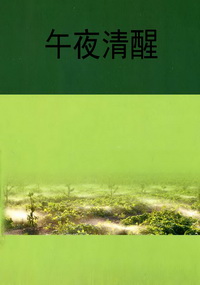 午夜清醒