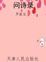 问诗录