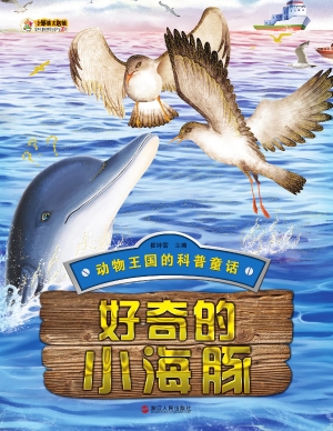 好奇的小海豚