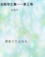 翁新华文集——第三卷