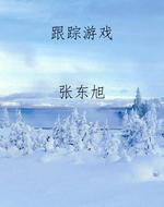 跟踪游戏