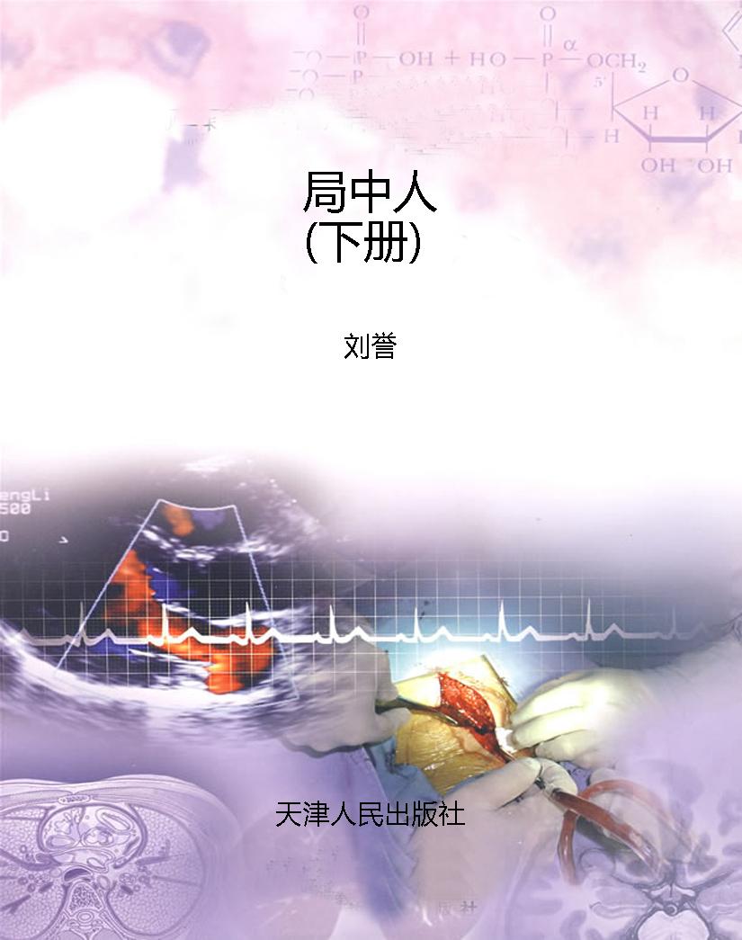 局中人（下册）