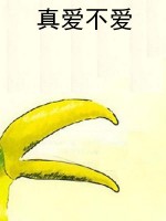 真爱不爱