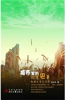 城市里的狗尾巴草：蚁族