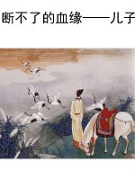 断不了的血缘——儿子